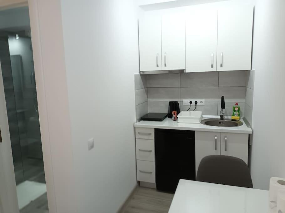 Old Town Studio 1 Apartment Nr 4 Бая-Маре Экстерьер фото